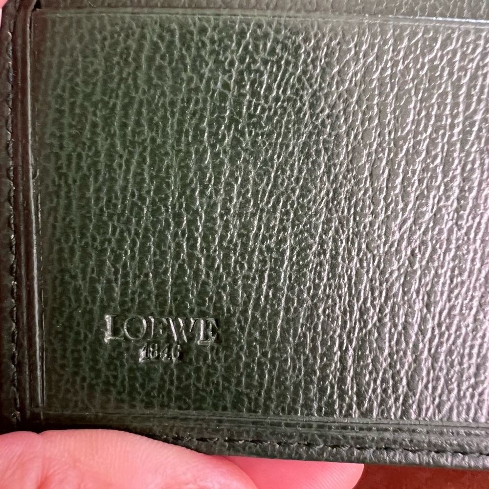 Loewe Green and Blue Women's Bag
PRICED TO SELL❤️🎉🥂😝🐣 - Picture 8 of 11